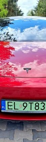 Tesla Model 3 Dual Motors * Long Range-3