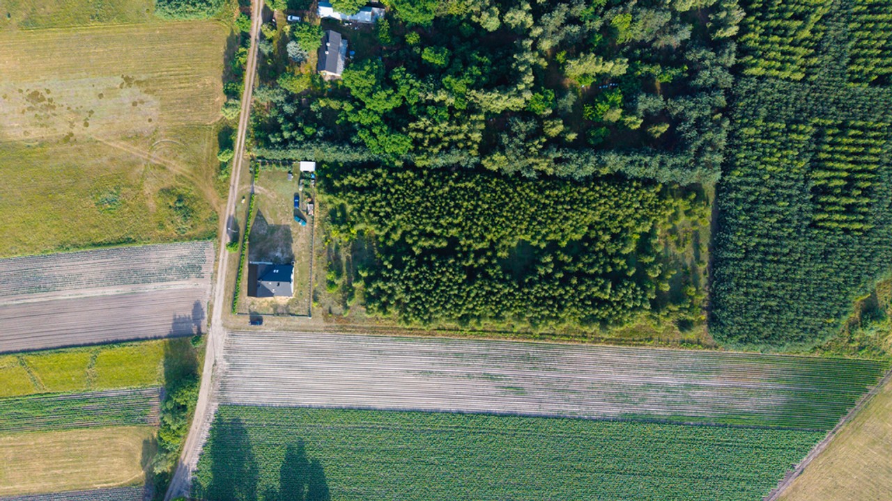 1,2 czy 3 którą wybierasz Ty? - Widok 3
