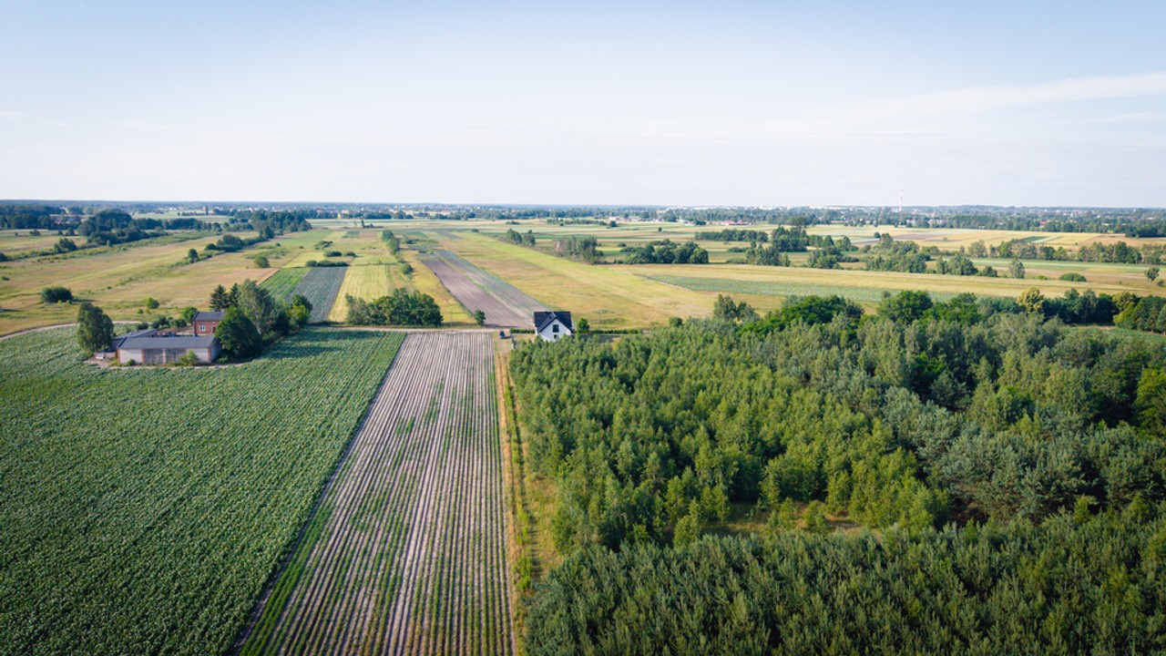 1,2 czy 3 którą wybierasz Ty? - Więcej