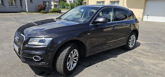 pierwszy właściciel