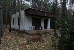 Działka leśna 1500 m2 , Włodzimierz  bezpośrednio