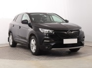 Opel Inny Opel , Salon Polska, Serwis ASO, Automat, Skóra, Klimatronic,