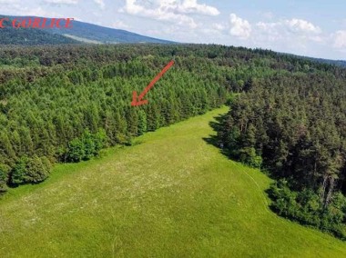 Działka Rolno - Leśna 5 ha w Łosiu-1