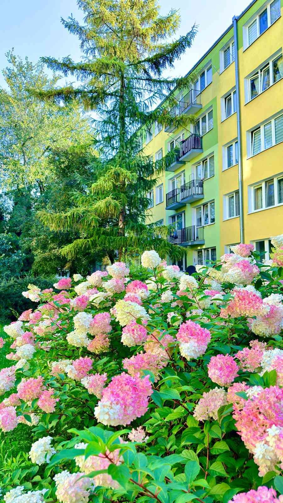 Mieszkanie na sprzedaż, 2 pokoje, 32 m², Pabianice