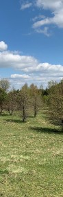 Działka, działki budowalne Lauda od 1000m2 od 19900 netto-4