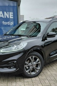 Ford Kuga III ST-LineX 2,5Hybrid FHEV e-CVT FWD Gwarancja ASO Forda-2