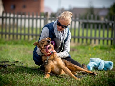 Kromka poleca się do adopcji-1