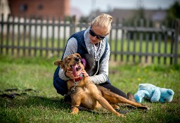 Kromka poleca się do adopcji