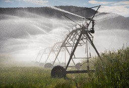 Działka inna Silt