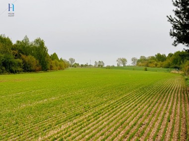 Działka rolno-budowlana w Tuszynie-1