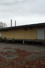 Lokal Kolno Kolno, ul. Targowa-2