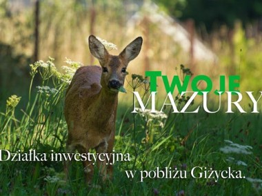 Inwestycje w grunty na Mazurach-1