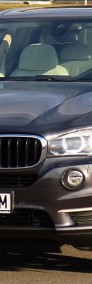 BMW X5 F15 25d 231 Panorama ACC Komforty Blis Hak Pamięci DVD-3