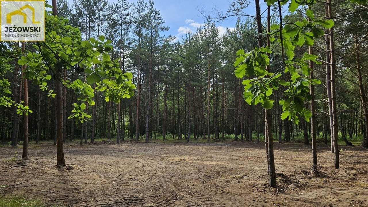 1,68 ha rolno-leśne, polana, dostępny prąd. – pohled 5