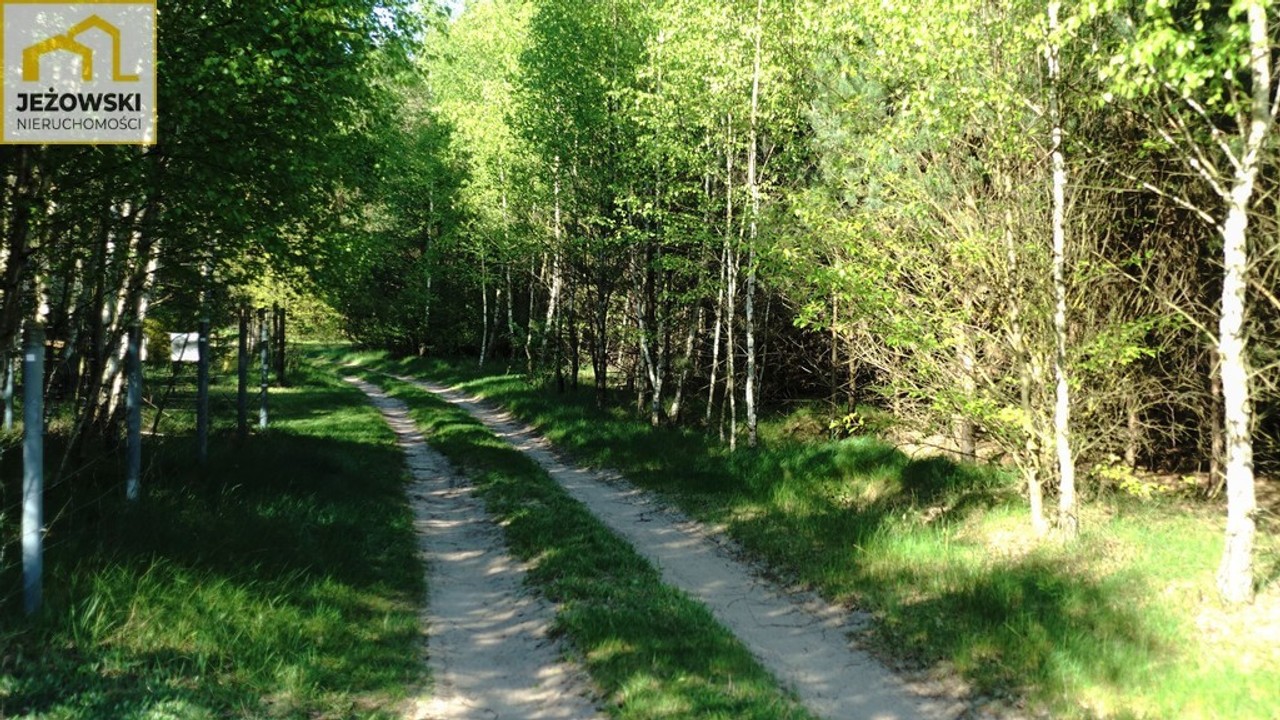 1,68 ha rolno-leśne, polana, dostępny prąd. – další