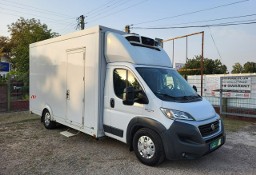 Fiat Ducato 2.3 177KM/2 komory+półki/Kwiaty, leki, jedzenie/FV23%/Export/Leasing