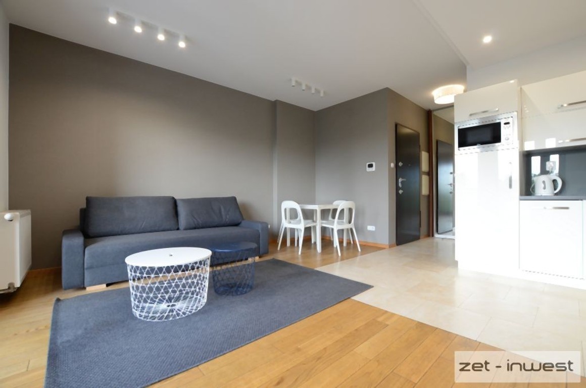 ul. Grzegórzecka, studio, 30 mkw, Wiślane Tarasy - Widok 2