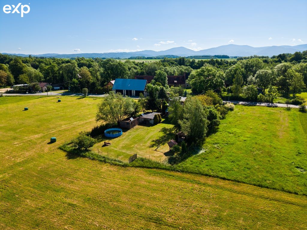 Dom na dużej działce 3900 m² | Bez sąsiadów - Widok 5