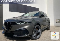 Alfa Romeo Stelvio 1.5 Ibrida Sport Speciale 1.5 Ibrida Sport Speciale (175 KM) Światła