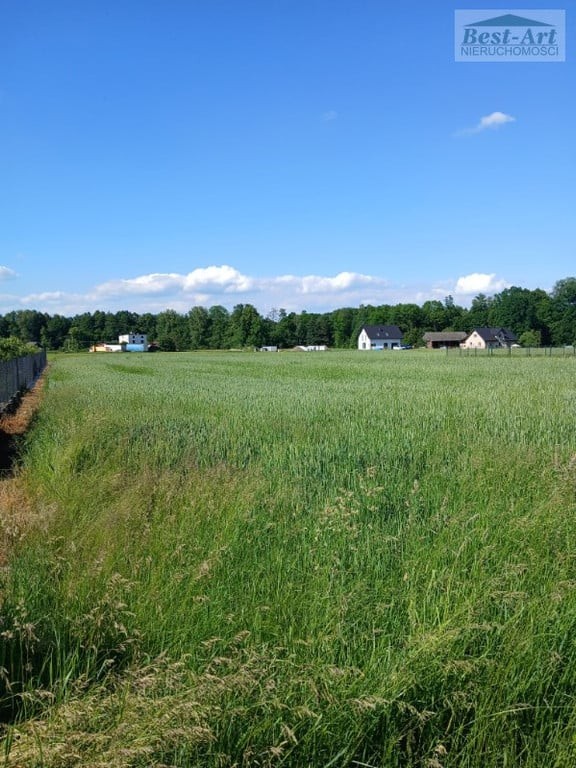 Pierściec - Widokowa działka na sprzedaż. - Widok 2