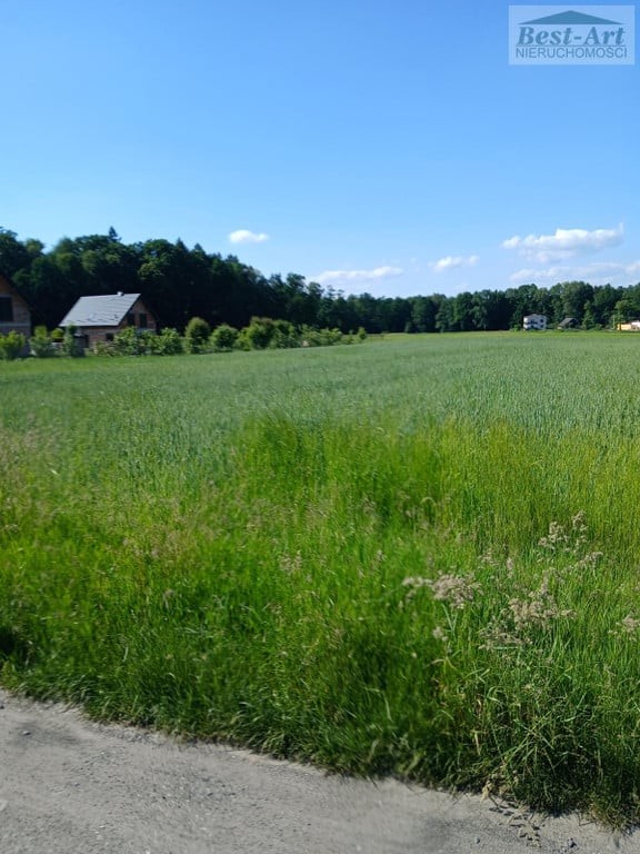 Pierściec - Widokowa działka na sprzedaż. - Widok 3