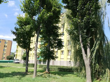 Okazja !!! 3-pokojowe mieszkanie w świetnej lokalizacji w Krośniewicach-1