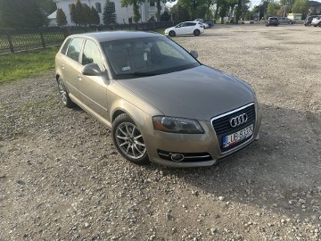 Audi a3 8P 1,9 TDI