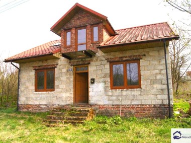 Dom Borów-1