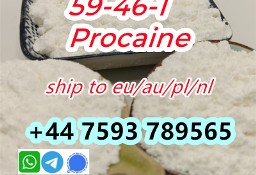 cas 59-46-1 Procaine supplier door to door ship