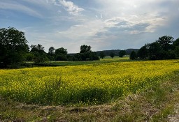 Działka budowlana Mienice (Wisznia Mała)