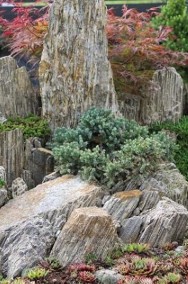 Kamień gnejs, głazy, kamień ogrodowy, kora kamienna-2