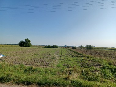 Grunty rolne 20 km od Zduńskiej Woli-1