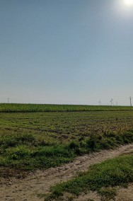 Grunty rolne 20 km od Zduńskiej Woli-2