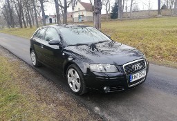 Audi A3 II (8P) 1.6 16V 115 Ps Attraction