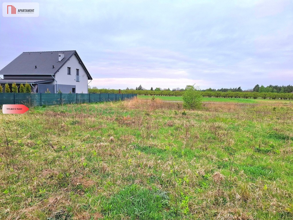 Szczutki 1106 m² malownicze miejsce pola lasy, Sicienko