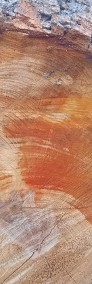 Drewno opalowe kominkowe grube cięte rąbane różne gatunki -3
