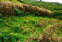 Działka inna Ilha Das Flores, Ponta Delgada