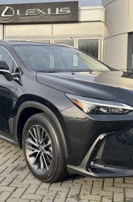 Lexus NX NX 14- 350h Elegance 2.5 Hybrid 350h Elegance 2.5 Hybrid 200KM | Podgrzewane-2