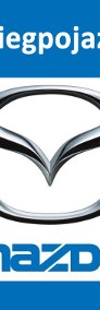 Renault Opel Mazda Historia Serwisowa, Przebieg,  Sprawdzenie VIN -4