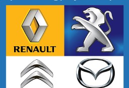 Renault Opel Mazda Historia Serwisowa, Przebieg,  Sprawdzenie VIN 