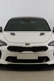 Kia Stinger , Serwis ASO, Automat, VAT 23%, Skóra, Navi, Klimatronic,-2