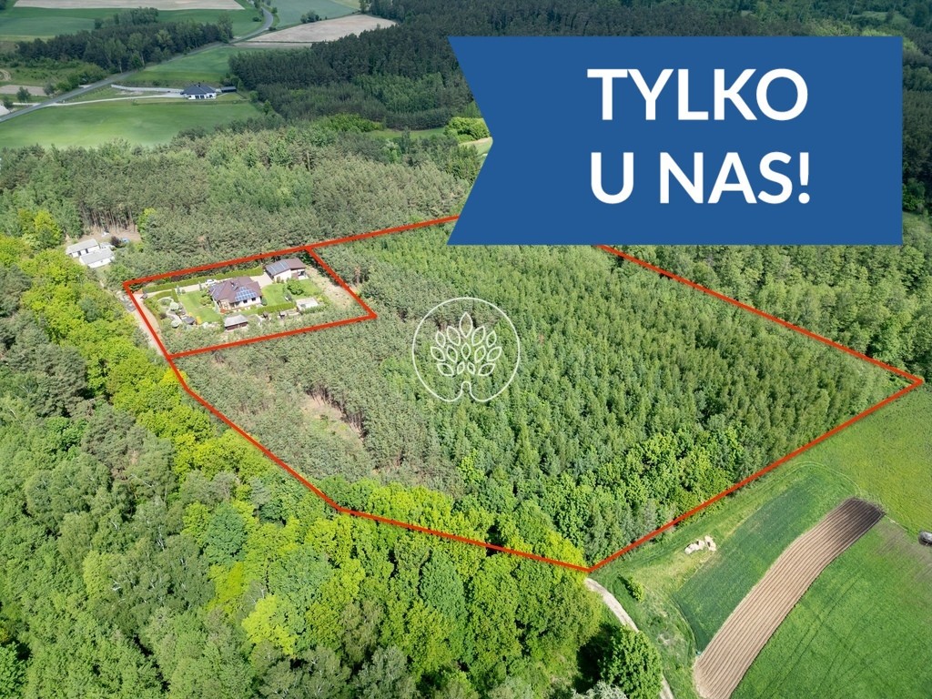Dom w środku własnego Lasu. Cisza i spokój, Poznań
