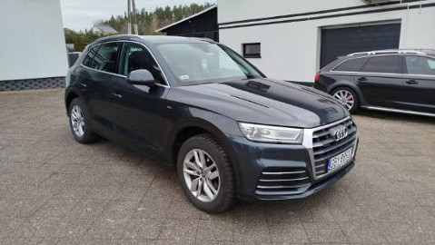 Qvatro -Viltual - Cockip