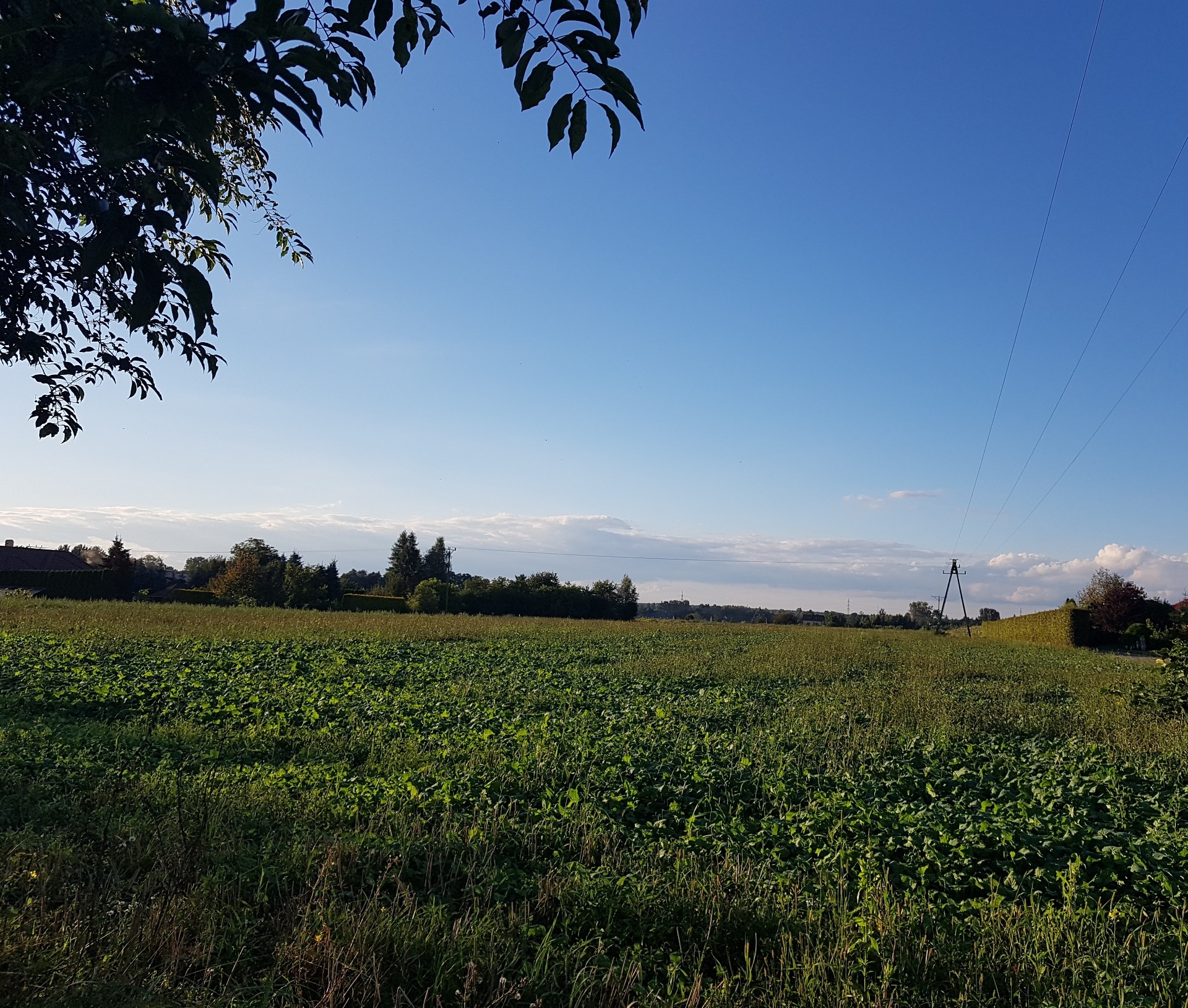 Sprzedam działki budowlane w Ćwiklicach (Pszczyna- Ćwiklice) - Widok 3