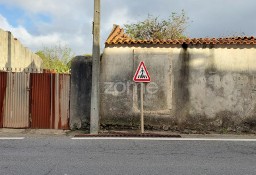 Dom Alcobaça