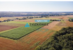 Działka rolna Lisewo, ul. Leśna