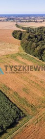 Działka na sprzedaż Lisewo !-4