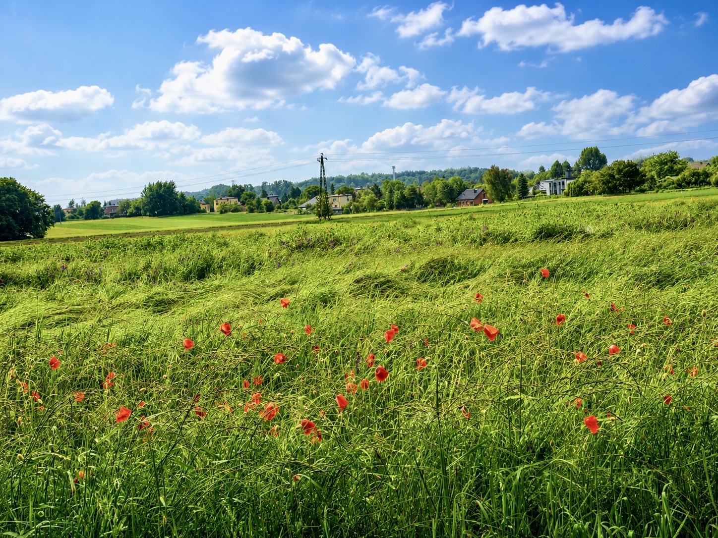 Działka budowlana 1200 m² | Mikołów – ul. Łączna | Widok, słońce i doskonała lokalizacja - Widok 3