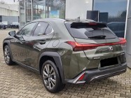Lexus UX 300h F Sport Design 2.0 Hybrid Dynamic Force F Sport Design 2.0 Hybrid
