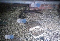 Dezynfekcja mieszkania po zalaniu fekaliami Żary - Kastelnik sprzątanie fekaliów